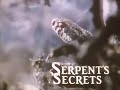 Wildlife on One - S10E03 - The Serpents Secrets (September 23rd 1982)