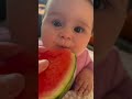 baby eating watermelon🍉 shorts youtube youtubeshorts ytshorts tiktok viral video