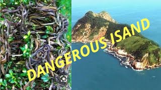 the dangerous place in the world/  ലോകത്തിലെ ഏറ്റവും കൂടുതൽ പാമ്പുകൾ ഉള്ള സ്ഥലം