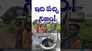 ఇది పచ్చి నిజం! Telugu WhatsApp status Quotes #dailyInspiration #shorts