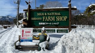 2023年02月11日 清泉寮ファーム 03  ドローン空撮４K