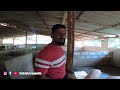 ಹಾಸನದ ದೊಡ್ಡ ಹಂದಿ ಸಾಕಾಣಿಕೆ ಕೇಂದ್ರ pig farming one of the biggest pig farm in karnataka part 01