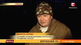 Вирубаний ліс - Вікна-новини - 03.11.2016