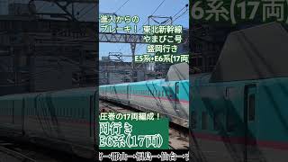 進入からのブレーキ！かっこよすぎる圧巻の17両！東北新幹線やまびこ号盛岡行きe5系+e6系(17両)！