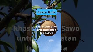 Fakta Unik Khasiatnya Buah Sawo untuk kesehatan tubuh Anda#sawoo #manfaat #khasiat #kesehatan#fakta