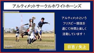 【2022慶應新歓実行委員会】　アルティメットサークル　ホワイトホーンズ