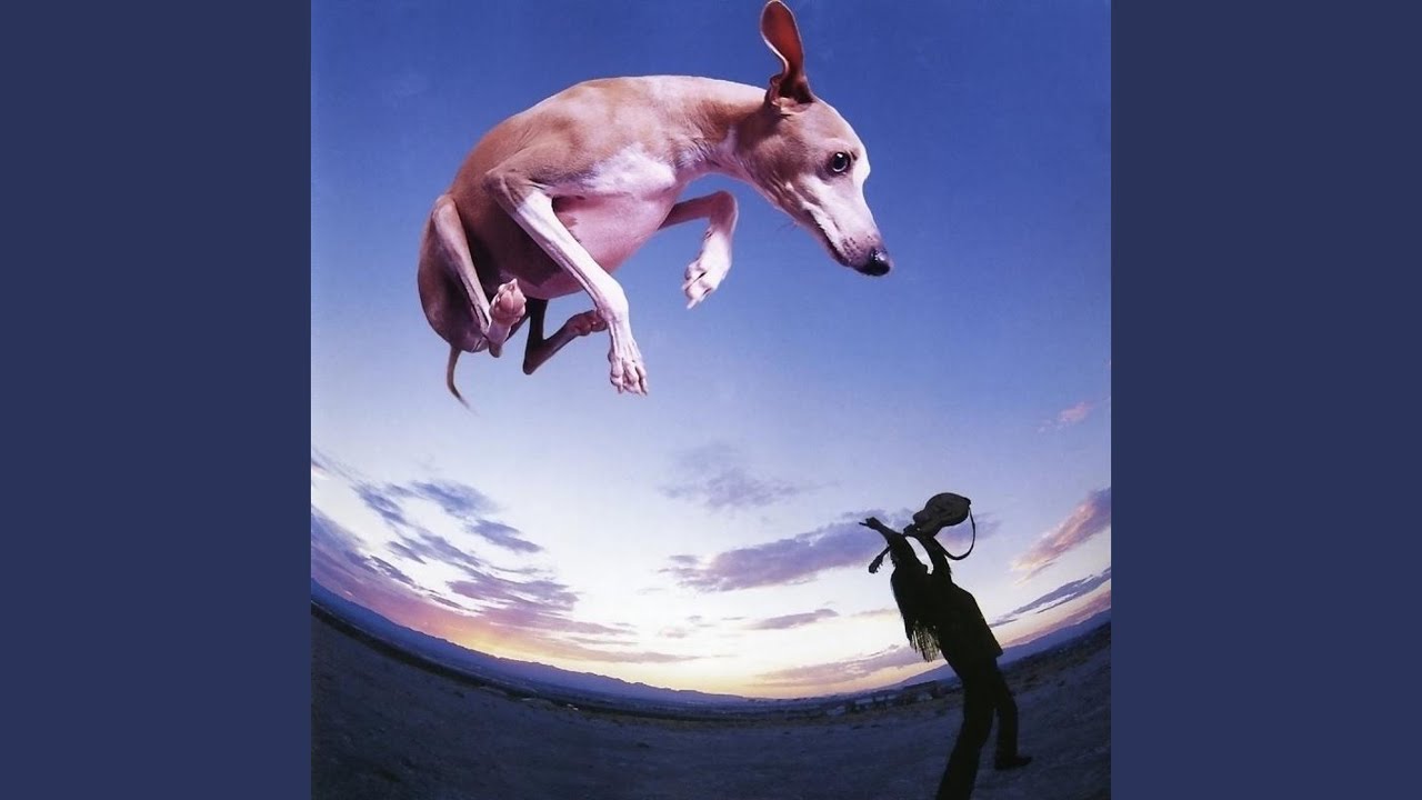 Gilberto Concerto Youtube