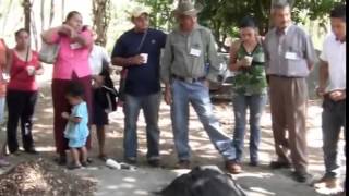 Aprender haciendo: Escuelas de Campo una metodología de éxito