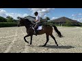 At Home with Glenbeigh Farm | Counter Canter | Show Jumping Training Tips