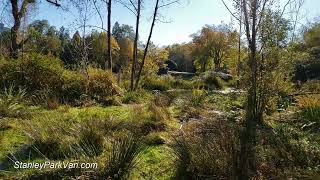 Ceperley Meadow in Stanley Park, Vancouver, Canada