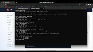 Basic Redis Stream Functionality - Redis-CLI