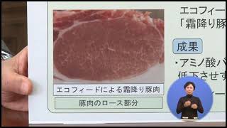 2018年4月15日きのくに21　知事と語る「将来を見据えた試験研究と普及活動」