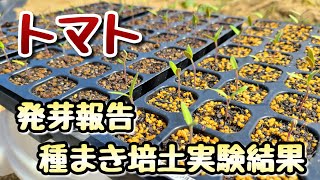 【トマト】発芽報告と種まき培土の比較検証実験の中間報告