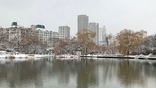 冬の始め 札幌・中島公園