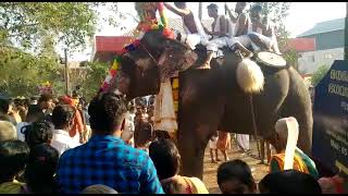 Mullurkara Thiruvanikkavu pooram  |മുള്ളൂർക്കര പൂരം 2022