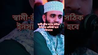 সঠিক ইনসাফ প্রতিষ্ঠা হবে কিভাবে শুনুন #mizanur_rahman_azhari