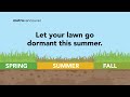 Let Your Lawn Go Dormant — Water Conservation