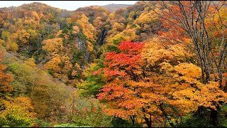 松川渓谷の八滝の紅葉が見頃を迎える 2020・4K