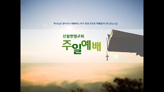 [신월벧엘교회] 주일 2부예배 2023.07.02 | 맥추감사절  - 내가 죽지 않고 살아서 | 김도형 목사