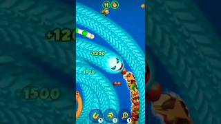 Worms Zone.io Best Gameplay!!