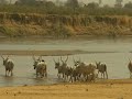 EXPLAINED : NIGERIA’s HERDERS-FARMERS CONFLICT