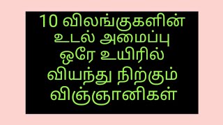 படைத்த அல்லாஹ்வின் சான்று வியந்து நிற்கும் விஞ்ஞானிகள் ஒரே உயிரில் பத்து விலங்குகளின் உடல் அமைப்பு