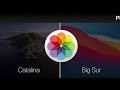 macOS 11 Big Sur vs Catalina Icons - Final Version