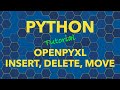 Python openpyxl Insert, Delete, Move Rows and Columns