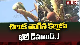 Viral Video: చిలుక తాగిన కల్లుకు భలే డిమాండ్..! || Peddapalli Dist || ABN Telugu