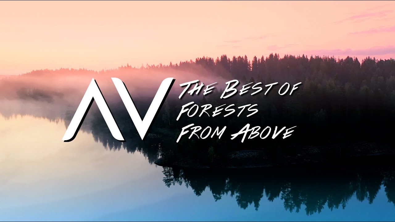 Dronetv Best Of Forests Youtube