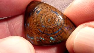 Amazing Opalized Wood Gem Concentric growth rings Bright Green Blue Huge 23.5 CT 28 x 22 x 5mm