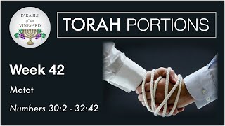 Torah Portions - Week 42 - Matot - Numbers 30:2 - 32:42 (2020-2021)