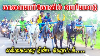 பெரியமாடு - காளையார்கோவில் மாட்டுவண்டி பந்தயம் 25.12.2022#rekla_race_2022 #amutham_panthyam