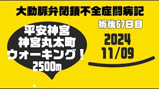 ★大動脈弁閉鎖不全症闘病記20241109 20241112 0418