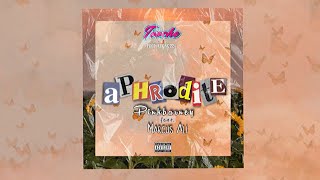 Pinkbarney feat. Marcus Ali - Aphrodite