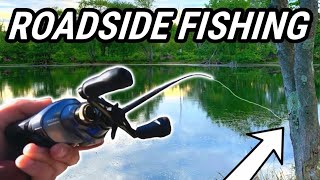 Fishing ROADSIDE Ponds For BIG Bass In HEAVY COVER! (They DESTROY This BAIT)