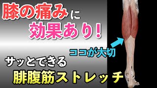 膝の痛みには腓腹筋のストレッチ！腓腹筋を伸ばして膝痛改善