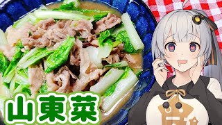 【山東菜って白菜？】気になるあの味、食べてみた　＃１１【VOICEROIDキッチン】