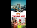 SINGAPORE SAFETY CO-ORDINATER JOB #shorts #shortvideo #singaaporejobs #sgconsultancy #Singaporework