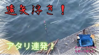 遠矢浮きの連発アタリ！！【エビ撒き釣り】【ウキ釣り】