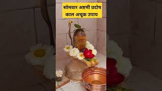 27 फरवरी सोमवार अष्टमी प्रदोष काल अचूक उपाय#pandit_pradeep_ji_mishra #shorts