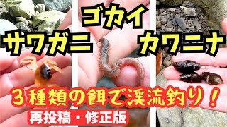 ゴカイ、サワガニ、カワニナを使った渓流釣り【提灯釣り】