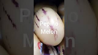 All about pepino melons