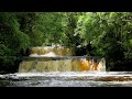 forest waterfall nature sounds gushing waterfall hd 1 hour version relaxing series ep.19