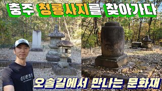 충주 청룡사지를 찾아가다 | 오솔길에서 만나는 국보문화재 그렇다면 청룡사지는 어디에?