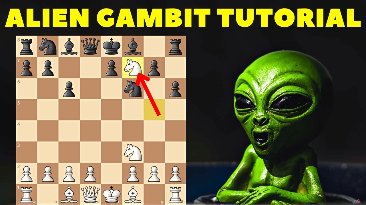 Learn The Alien Gambit In 15 Minutes Chess Opening Crash Course Youtube