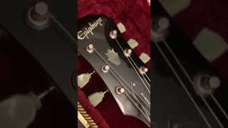 2004 Epiphone G-400 reveal