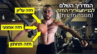 המדריך המלא להגדלת שרירי החזה (מגובה מדעית) | לידור דיין