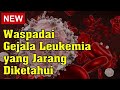 Gejala-gejala Leukemia pada Orang Dewasa yang Perlu Diwaspadai