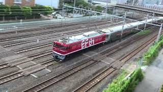 【フリー動画】カシオペア紀行の返却回送列車（EF81-95牽引）走行シーン